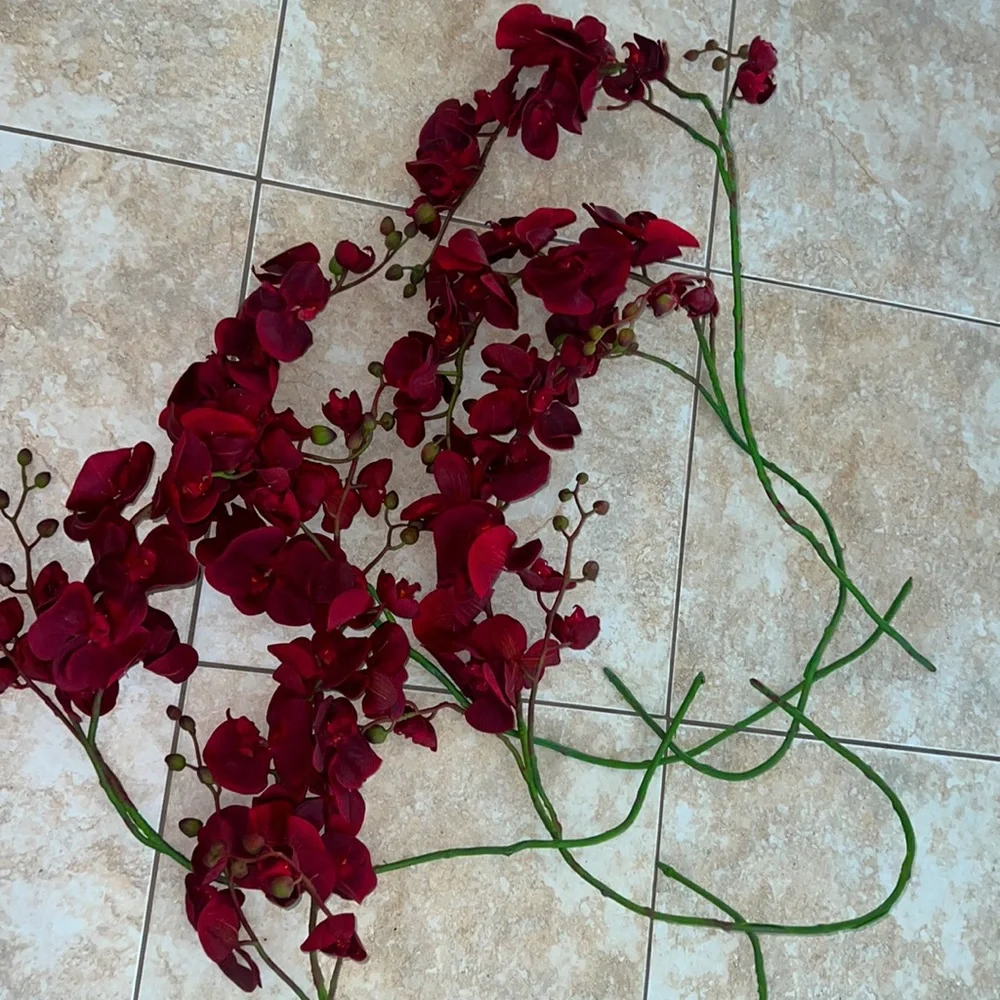 Zgallerie orchids (2 sets of 3)